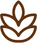 Vector